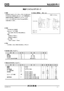 NJL6201R-1  mm NJL6201R-1  1.0X1.0mm