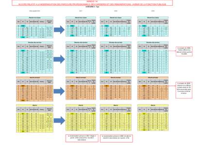 ANNEXE IIII ACCORD RELATIF A LA MODERNISATION DES PARCOURS PROFESSIONNELS, DES CARRIERES ET DES REMUNERATIONS - AVENIR DE LA FONCTION PUBLIQUE CATÉGORIE A - Type Ech