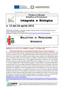 DIREZIONE GENERALE AGRICOLTURA, ECONOMIA ITTICA, ATTIVITÀ FAUNISTICO-VENATORIE  PROVINCIA DI RAVENNA Bollettino di Produzione