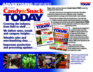 Online advertising / Hard Candy / ECRM / Snack food / Marketing / Design / Business / National Confectioners Association / Advertising