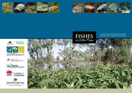 Fishes  on Cotton Farms A guide to native fish and habitat management for north-west NSW