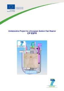 Microsoft Word - CP ESFR Project presentation internet.doc