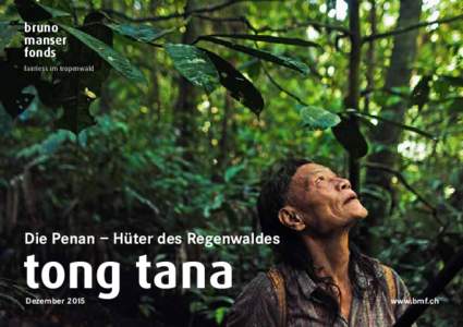 bruno manser fonds fairness im tropenwald  Die Penan – Hüter des Regenwaldes