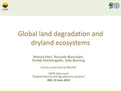 Global land degradation and dryland ecosystems Monica Petri, Riccardo Biancalani, Freddy Nachtergaele, Sally Bunning Activity coordinated by NRL/FAO