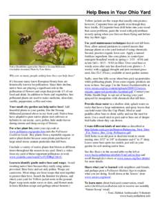 Microsoft Word - Attract Bees to Your Ohio Yard.doc