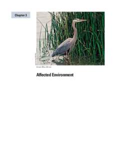 Lee Karney/USFWS  Chapter 3 Great Blue Heron