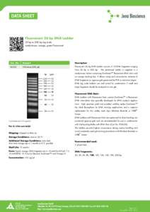 Fluorescent 20 bp DNA Ladder 20 bp to 200 bp log scale ready-to-use, orange, green fluorescent Cat. No.