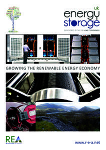 GROWING THE RENEWABLE ENERGY ECONOMY  www.r-e-a.net UK Energy Storage - introduction Energy storage technologies offer huge potential for the UK’s energy supply.