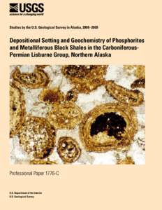 Studies by the U.S. Geological Survey in Alaska, 2008 – 2009  Depositional Setting and Geochemistry of Phosphorites and Metalliferous Black Shales in the CarboniferousPermian Lisburne Group, Northern Alaska  Profes