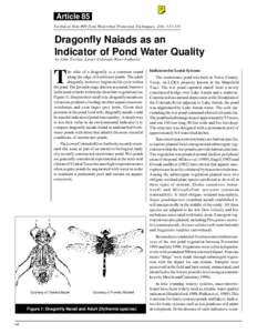 Article 85 Technical Note #99 from Watershed Protection Techniques. 2(4): [removed]Dragonfly Naiads as an Indicator of Pond Water Quality by John Trevino, Lower Colorado River Authority