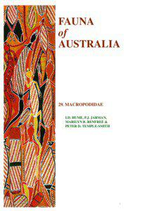 Macropodidae / Kangaroo / Wallaby / Red kangaroo / Wallaroo / Macropus / Tree-kangaroo / Toolache wallaby / Tammar wallaby / Metatheria / Mammals of Australia / Macropods
