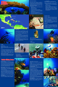 Protect the Environment Scuba diving in Cuba is based on the principle of preserving the underwater ecosystems. Modern scubadiving equipment is available, and the diving sites are in the parts of the insular shelf that h