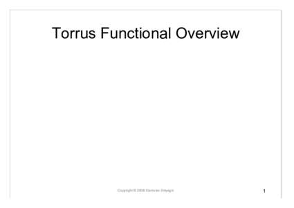 Torrus Functional Overview  Copyright © 2008 Stanislav Sinyagin 1