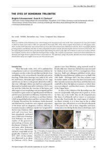 Eye / Trilobites / Phacopida / Fossils / Prehistoric life / Phacopina / Dalmanites / Holochroal eye / Evolution of the eye / Taxonomy / Phyla / Protostome