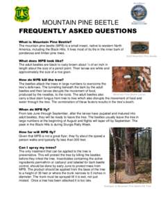 MOUNTAIN PINE BEETLE FREQUENTLY ASKED QUESTIONS What is Mountain Pine Beetle? The mountain pine beetle (MPB) is a small insect, native to western North America, including the Black Hills. It lives most of its life in the