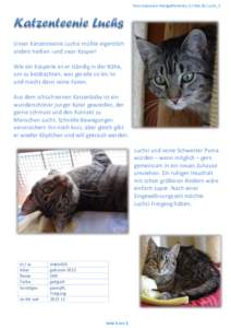 Tierschutzverein Markgräflerland e.V./ Mai 16/ Luchs_2  Unser Katzenteenie Luchsi müßte eigentlich anders heißen -und zwar Kasper! Wie ein Kasperle ist er ständig in der Nähe, um zu beobachten, was gerade so los is