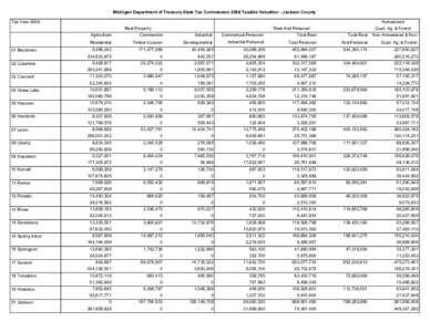 2008 Taxable Valuations (Green Book) - Jackson County