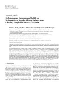 Carbapenemase Genes among Multidrug Resistant Gram Negative Clinical Isolates from a Tertiary Hospital in Mwanza, Tanzania