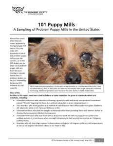 101 Puppy Mills  A Sampling of Problem Puppy Mills in the United States Almost four years after Missouri voters approved a