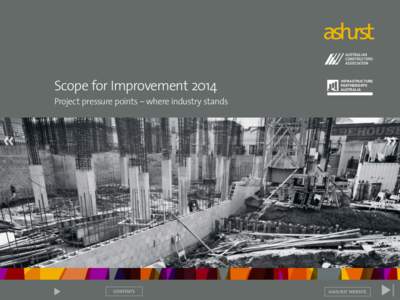 Scope for Improvement 2014 Project pressure points – where industry stands «  »