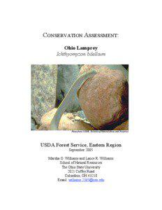 CONSERVATION ASSESSMENT: Ohio Lamprey Ichthyomyzon bdellium