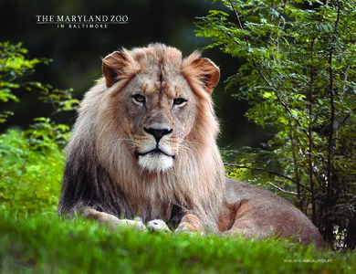 [removed]ANNUAL REPORT  our mission The Zoo’s mission is to inspire and educate people to join with it in the active support and conservation of wild life and wild places. The Zoo is committed to serving its communi