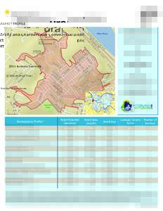 MARKET PROFILE  Lorenz and Chartiers Ave Commercial District Elliott 2015 Business Summary (2 Minute Drive Time)