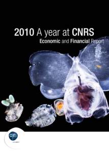 2010 A year at CNRS  Economic and Financial Report www.cnrs.fr