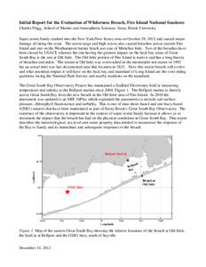 Initial Report for the Evaluation of Wilderness Breach, Fire Island National Seashore Charles Flagg, School of Marine and Atmospheric Sciences, Stony Brook University Super storm Sandy crashed into the New York/New Jerse