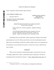 Microsoft Word - memorandum opinion[removed]Torres-Lara[removed]doc