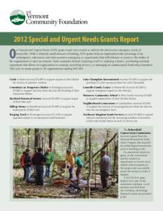 2012 Special and Urgent Needs Grants Report  O ur Special and Urgent Needs (SUN) grant round was created to address the short-term emergency needs of nonprofits. With a relatively small amount of funding, SUN grants help