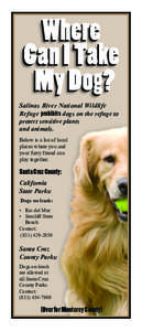 Salinas River National Wildlife Refuge prohibits dogs on the refuge to protect sensitive plants and animals. Below is a list of local places where you and