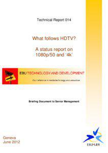 Technical Report 014  What follows HDTV?