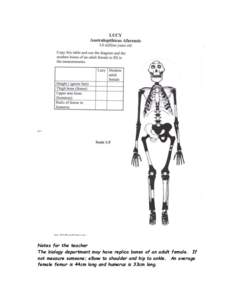 Notes for the teacher The biology department may have replica bones of an adult female. If not measure someone; elbow to shoulder and hip to ankle. An average female femur is 44cm long and humerus is 33cm long.  