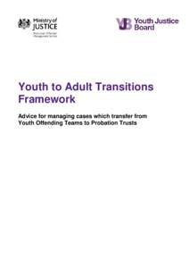 Microsoft Word - youth-to-adult-transitions-framework