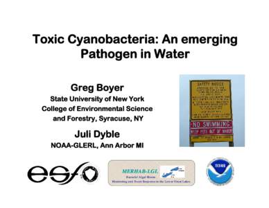 Current and Emerging Techniques Used to Identify Harmful Cyanobacteria