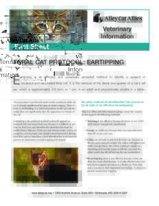 Veterinary Trapping Information Information  Fact Sheet