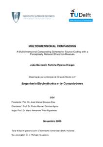 MULTIDIMENSIONAL COMPANDING A Multidimensional Companding Scheme for Source Coding with a Perceptually Relevant Distortion Measure João Bernardo Farinha Pereira Crespo