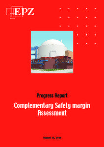 Progress Report  Complementary Safety margin