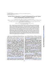Syst. Biol. 62(6):805–823, 2013 © The Author(s[removed]Published by Oxford University Press, on behalf of the Society of Systematic Biologists. All rights reserved. For Permissions, please email: [removed]