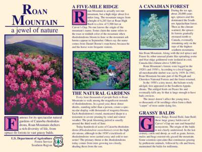 ROAN MOUNTAIN a jewel of nature  A