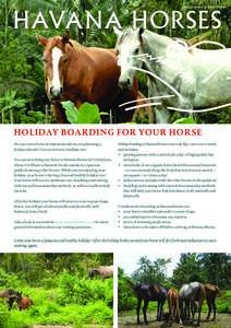 HAVANA HORSES  HOLIDAY BOARDING FOR YOUR HORSE Do you own a horse in Indonesia and are you planning a holiday abroad? Give your horse a holiday too! You can now bring you horse to Havana Horses in Central Java,