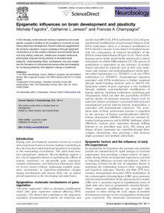 Epigenetic influences on brain development and plasticity