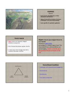 Protostome / Biology / Mountain pine beetle / Spruce Budworm / Bark beetle / Spruce-fir forests / Beetle / Verbenone / Insecticide / Curculionidae / Woodboring beetles / Phyla