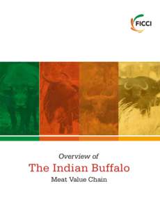 Overview of  The Indian Buffalo Meat Value Chain  Overview of