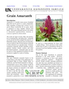 Grains / Tropical agriculture / Energy crops / Amaranth / Pseudocereal / Maize / Wheat / Gluten-free diet / Organic farming / Food and drink / Agriculture / Staple foods