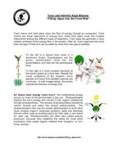 Toxic and Harmful Algal Blooms “Fitting Algae into the Food Web” Food chains and food webs show the flow of energy through an ecosystem. Food chains are linear depictions of energy flow, while food webs show the mult