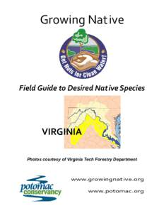 Growing Native  Field Guide to Desired Native Species VIRGINIA Photos courtesy of Virginia Tech Forestry Department