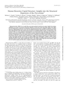 JOURNAL OF VIROLOGY, June 2010, p. 5880–[removed]538X/10/$12.00 doi:[removed]JVI[removed]Copyright © 2010, American Society for Microbiology. All Rights Reserved. Vol. 84, No. 12