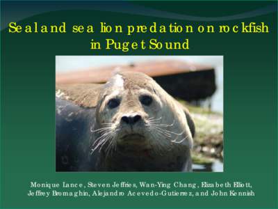 Diet of harbor seals in the San Juan Island Archipelago